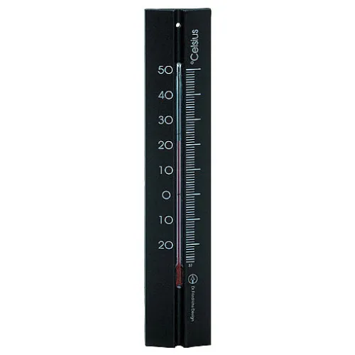Indoor Thermometer zwart